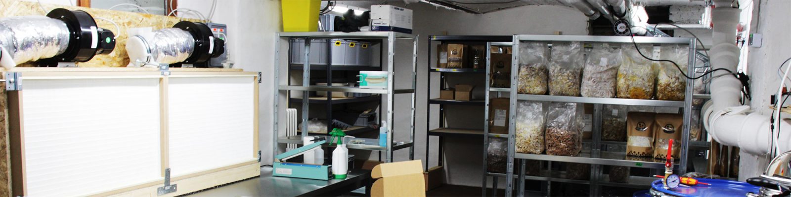 Gewerbliche Pilzzucht - Informationen für Gewerbekunden PilzWald Pilzmanufaktur Pilze züchten