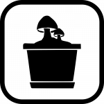 How to | 5 Pilzzucht Anleitungen | PilzWald Akademie 50 Pilzzucht Anleitung