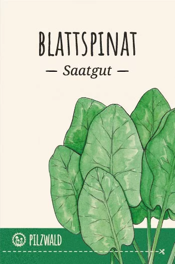 MycoGreens Saatgut Set - 8 alte Sorten Gemüse samenfest 12 MycoGreens Saatgut Set - 8 alte Sorten Gemüse samenfest 7