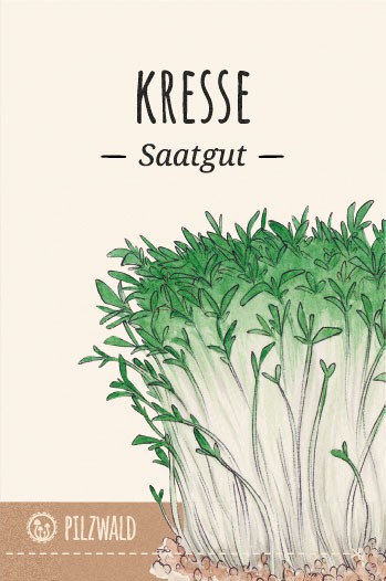 MycoGreens Saatgut Set - 8 alte Sorten Gemüse samenfest 13 MycoGreens Saatgut Set - 8 alte Sorten Gemüse samenfest 8