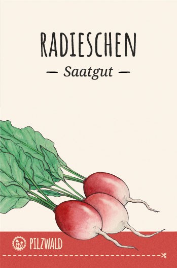 MycoGreens Saatgut Set • 8 alte Sorten Gemüse samenfest