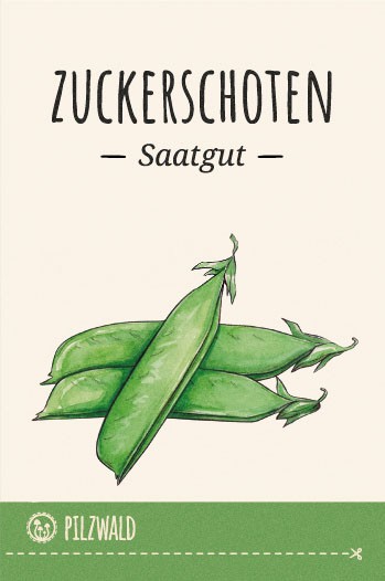 MycoGreens Saatgut Set • 8 alte Sorten Gemüse samenfest