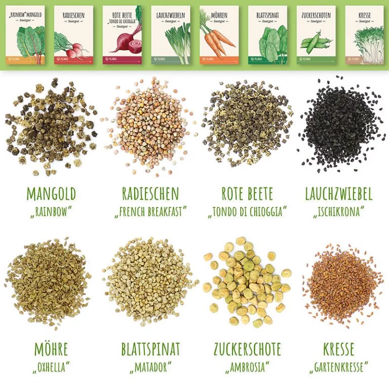 MycoGreens Saatgut Set - 8 alte Sorten Gemüse samenfest 2 MycoGreens-Samen-Set-Gemuese-anbauen-Saatgut-Box-800.jpg