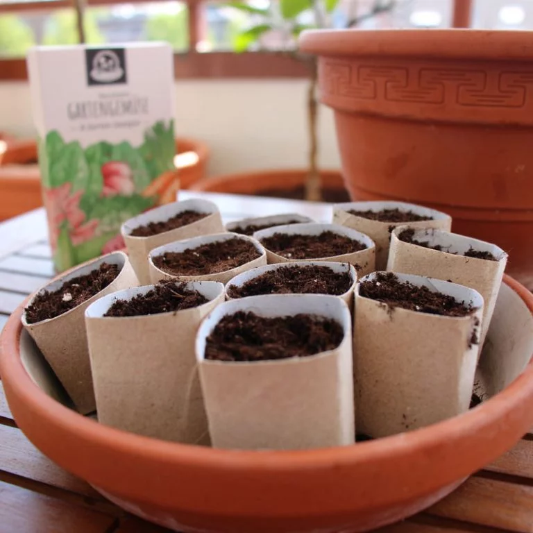 Anzuchttöpfe basteln biologisch abbaubar und kompostierbar PilzWald MycoGreens