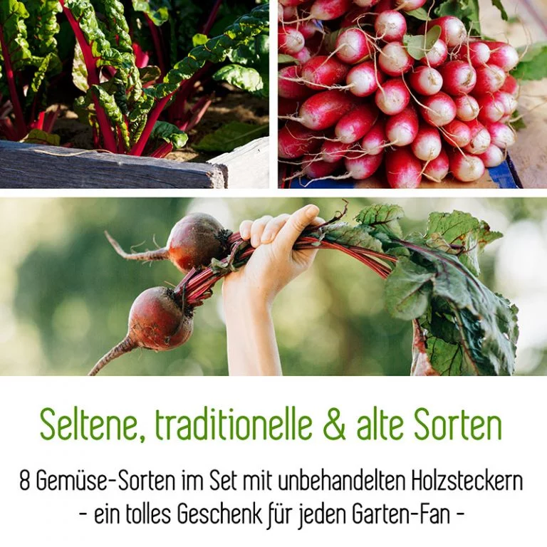 MycoGreens Saatgut Set - 8 alte Sorten Gemüse samenfest 3 Saatgut-Box-Geschenkset-MycoGreens-Pilzbeet-Samen-Gemuese-800.jpg