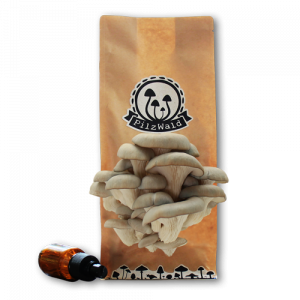 How to | 5 Pilzzucht Anleitungen | PilzWald Akademie 49 How to | 5 Pilzzucht Anleitungen | PilzWald Akademie 46