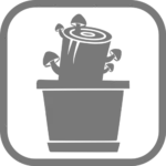 Pilzzucht auf Baumstämmen Anleitung PilzWald