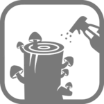 Anleitung | Pilzzucht auf Baumstämmen & Holz 5