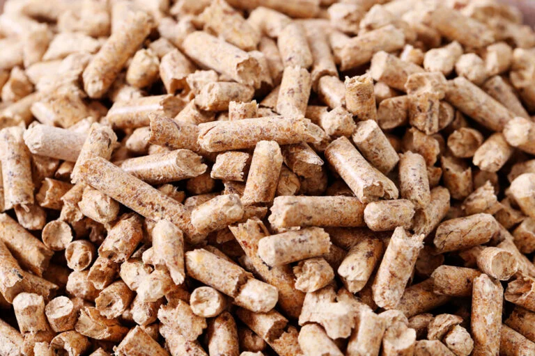 Das perfekte Pilzzucht Substrat herstellen - Pilzsubstrat Rezepte, Tipps & Tricks 2 Pilzzucht Substrat Holzpellets Rohstoff fürs Pilze züchten