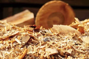 Anleitung | Pilzbrut vermehren & aus Dübeln mit Kaffeesatz selber herstellen 24 Anleitung | Pilzbrut vermehren & aus Dübeln mit Kaffeesatz selber herstellen 17