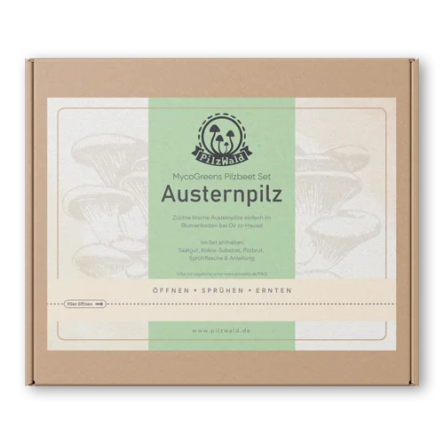 Pilzbeet Set Landingpage 1