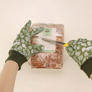 Anleitung | Pilzzucht-Set Austernpilz Pilzbeet - Pilze züchten im Blumenkasten 7 Anleitung | Pilzzucht-Set Austernpilz Pilzbeet - Pilze züchten im Blumenkasten 7