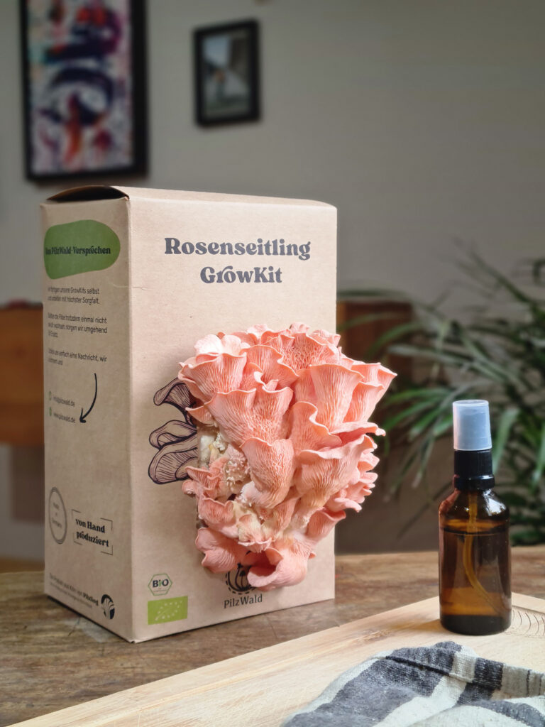 Pilzzucht in 3 Schritten - Im Haus & Garten Pilze züchten 1