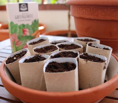 Anzuchttöpfe basteln biologisch abbaubar und kompostierbar PilzWald MycoGreens