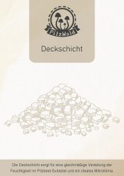 PilzWald-Pilzbeet-Pilzzuchtset-Austernpilze-zuechten-Set-Pilzzucht_500